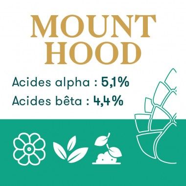 Houblon Hopen Mount Hood - Pellets T90 sachet de 1 kg