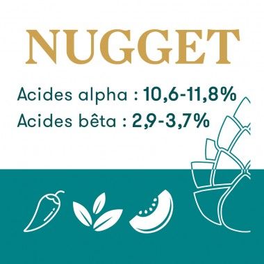 Houblon Hopen Nugget - Pellets T90 sachet de 1 kg