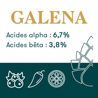 Houblon Hopen Galena - Pellets T90 sachet de 1 kg