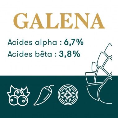Houblon Hopen Galena - Pellets T90 sachet de 1 kg