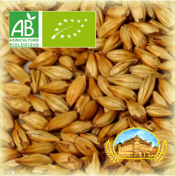 Malt Château Acide 6-12EBC BIO