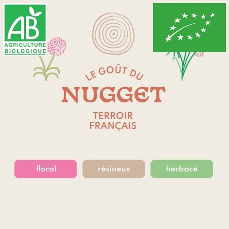 Houblon Hopen Nugget BIO - Pellets T90 sachet de 1 kg