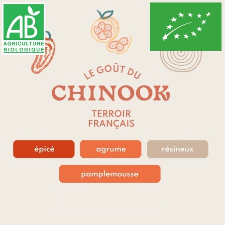 Houblon Hopen Chinook BIO - Pellets T90 sachet de 1 kg