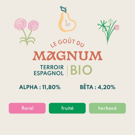 Houblon Hopen Magnum BIO - Pellets T90 sachet de 1 kg 