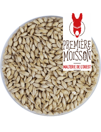 Malt Première Moisson Pils