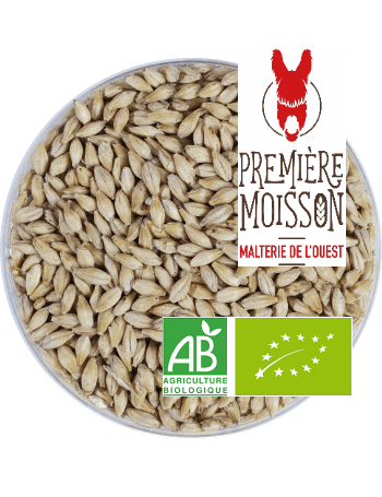 Malt Première Moisson Pale ale BIO