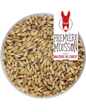 Malt Première Moisson Munich