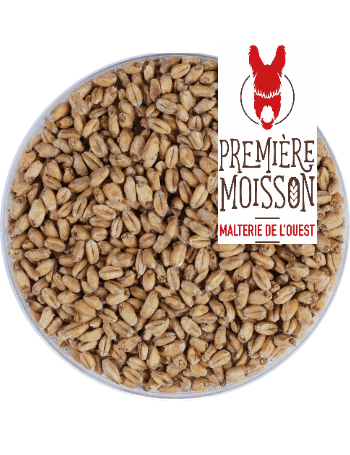 Malt Première Moisson FROMENT (blé)