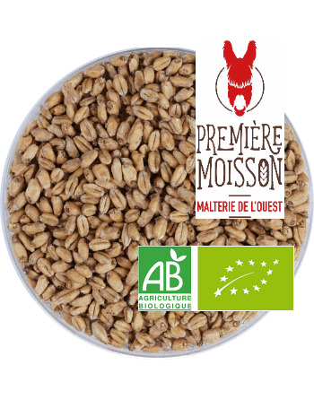 Malt Première Moisson FROMENT (blé) BIO