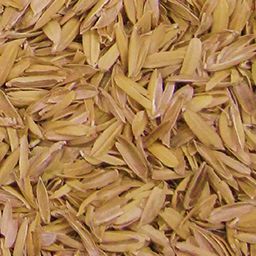 [30073] Enveloppes de Riz en sacs de 200l volume (env.18kg)