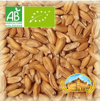 Malt Château Epeautre (Spelt) BIO