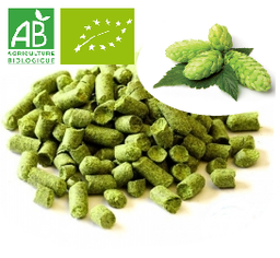 [30194] Houblon Citra (US) BIO en Pellets T90