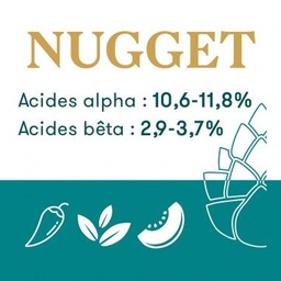 [30216] Houblon Hopen Nugget - Pellets T90 sachet de 1 kg