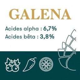 [30217] Houblon Hopen Galena - Pellets T90 sachet de 1 kg