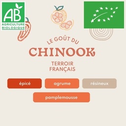 [30237] Houblon Hopen Chinook BIO - Pellets T90 sachet de 1 kg