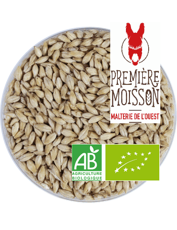 [30278] Malt Première Moisson Pale Ale BIO en Big Bag 750kg 