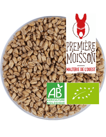 [20010] Malt Première Moisson FROMENT (blé) BIO 
