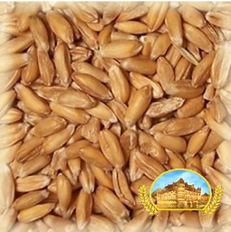 [30099] Malt Château Épeautre (Spelt) (3-7 ebc)