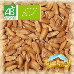 [30123] Malt Château Epeautre (Spelt) BIO